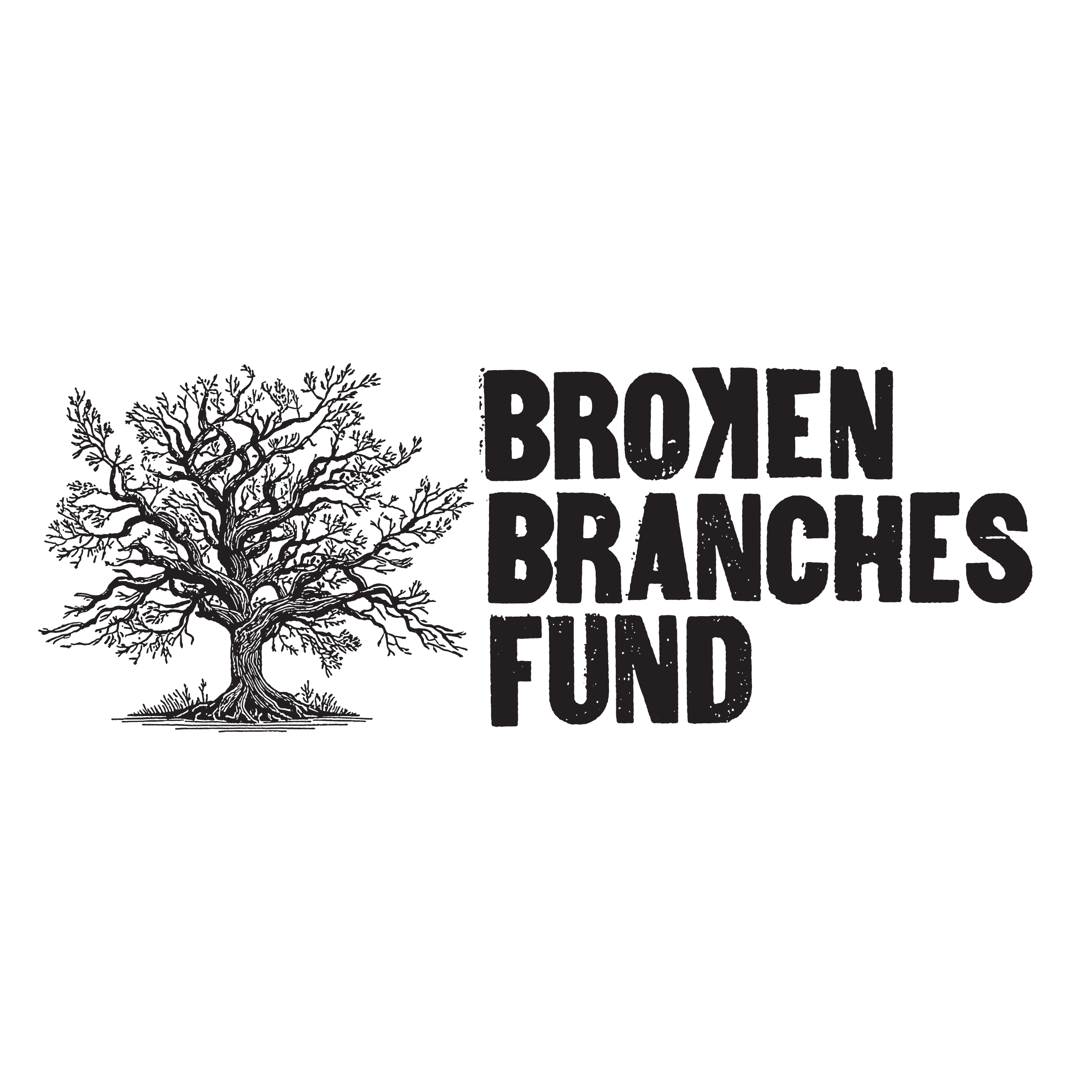 DIERKS BENTLEY ESTABLISHES BROKEN BRANCHES FUND (AUDIO)